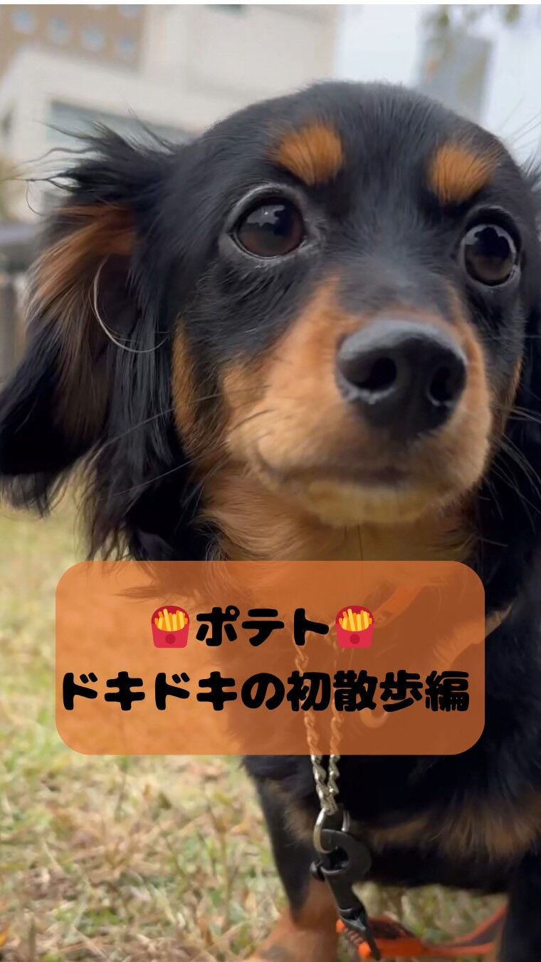犬カフェらいちです🐾