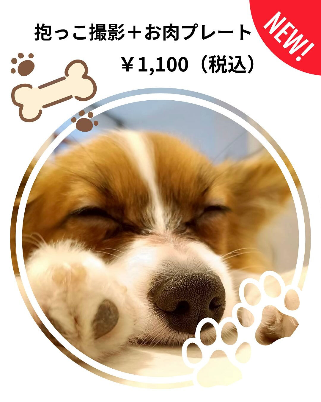 皆さまにもっと楽しんでいただけるために