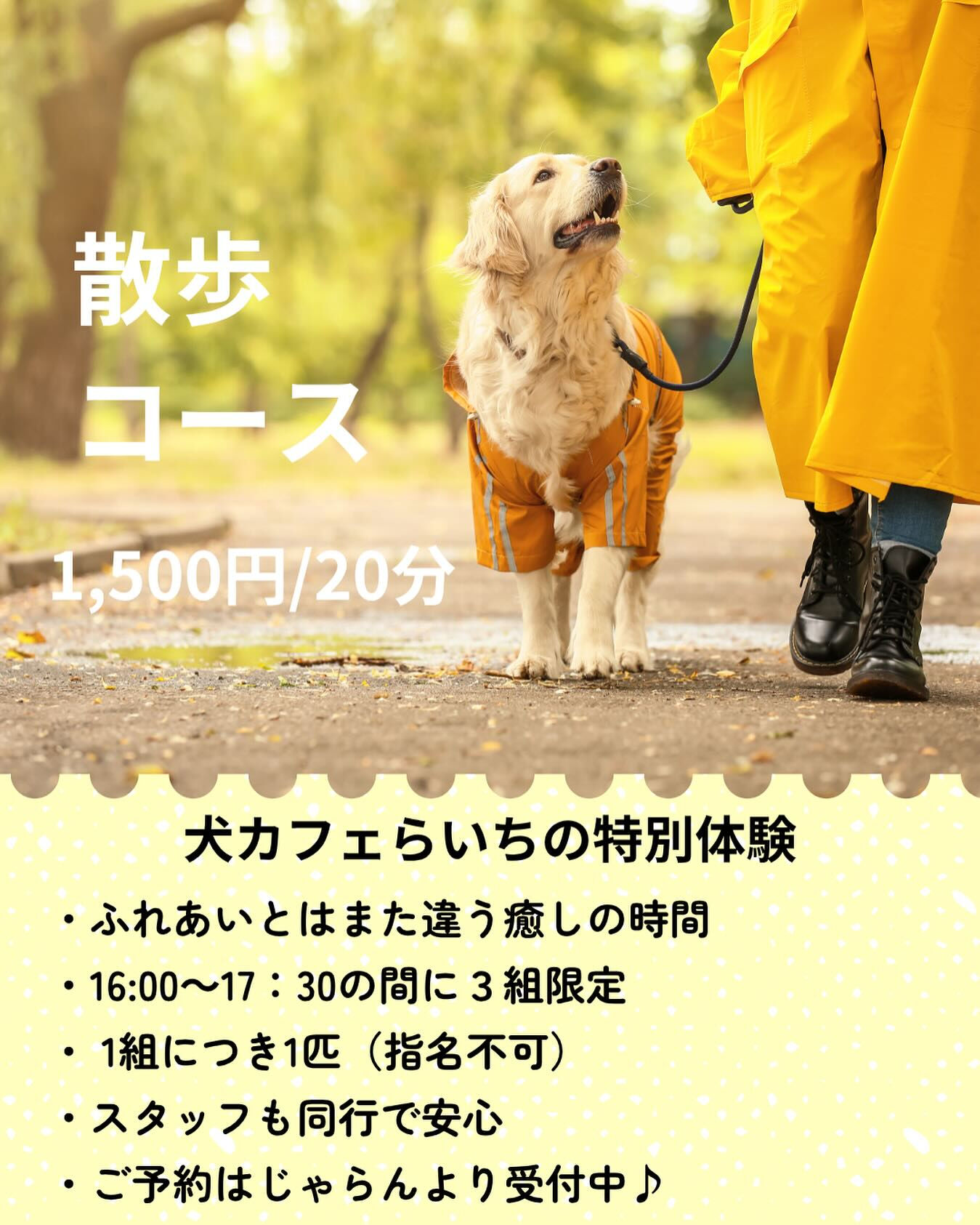 特別お散歩体験コースがスタートしました❣️