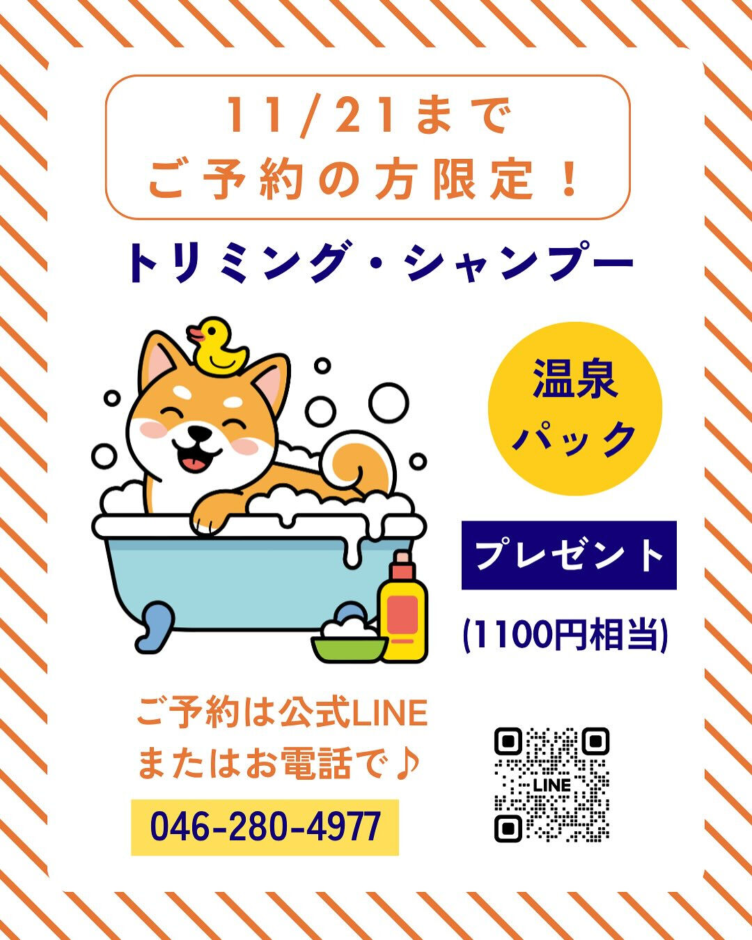 トリミングのご予約受付中🐶