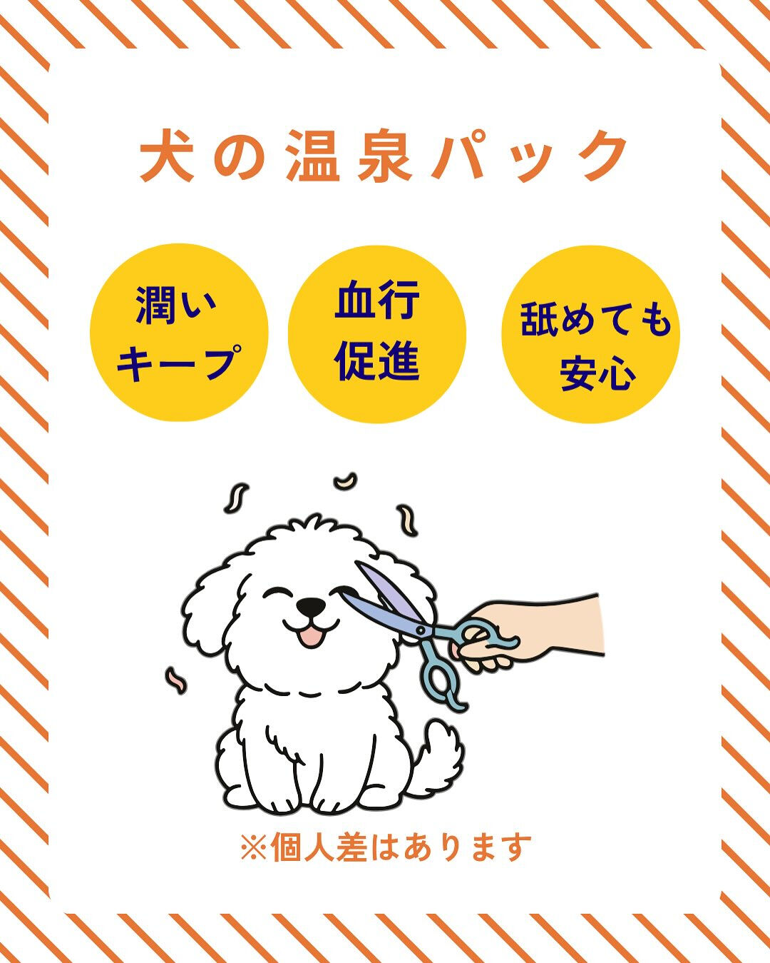 トリミングのご予約受付中🐶