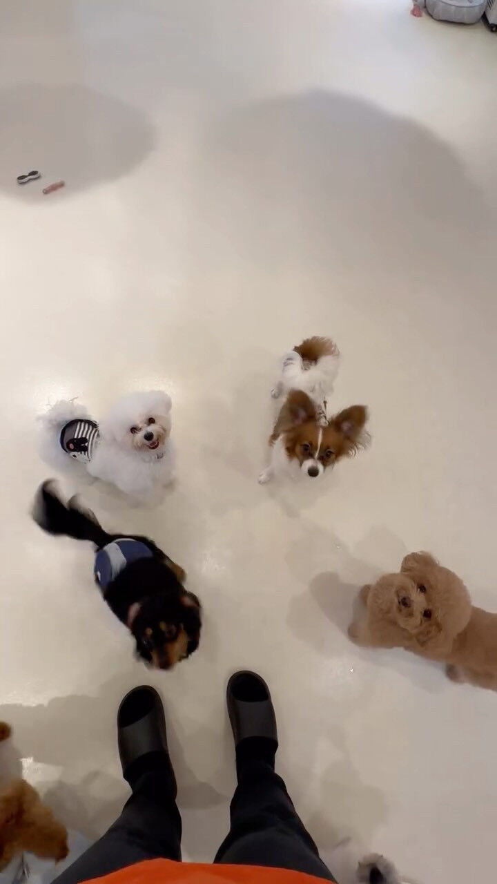 久しぶりに6頭揃いました🌟