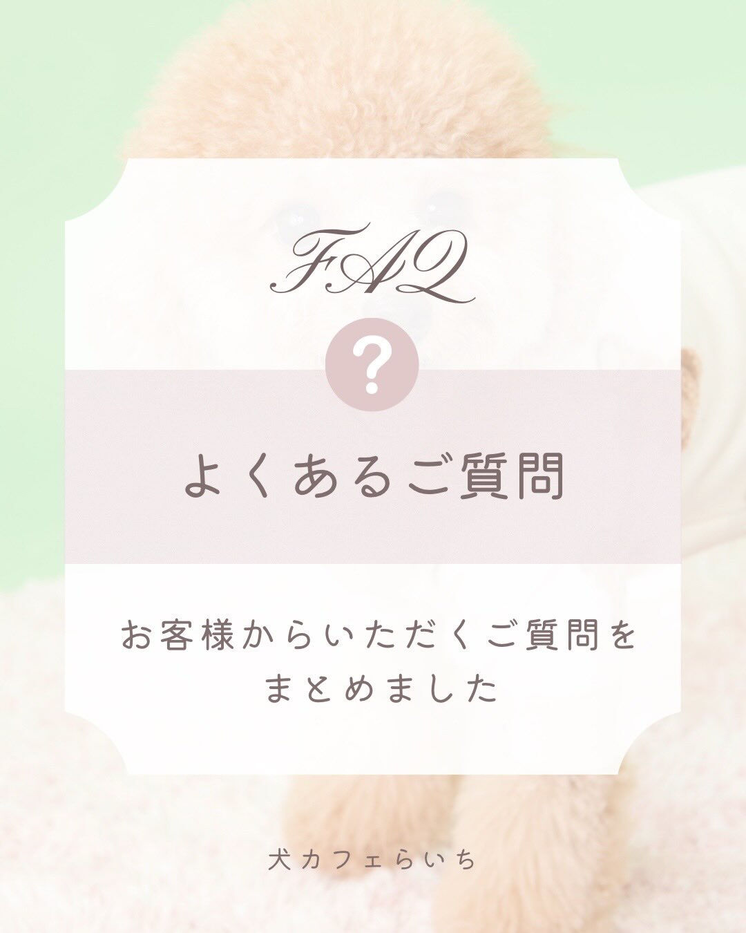 お客様からよく頂く質問をまとめました🙌