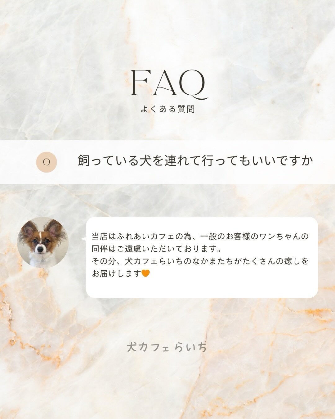 お客様からよく頂く質問をまとめました🙌
