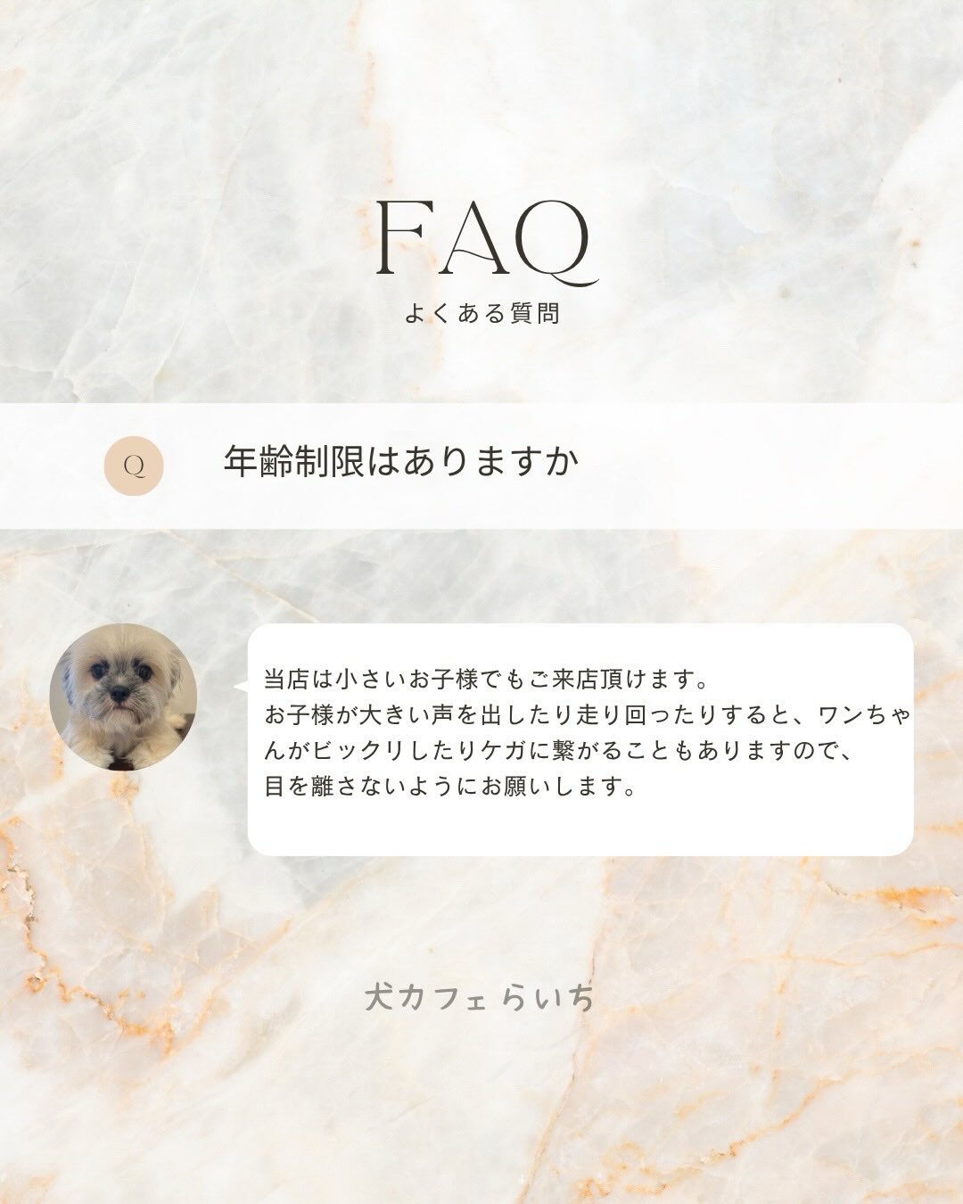 お客様からよく頂く質問をまとめました🙌