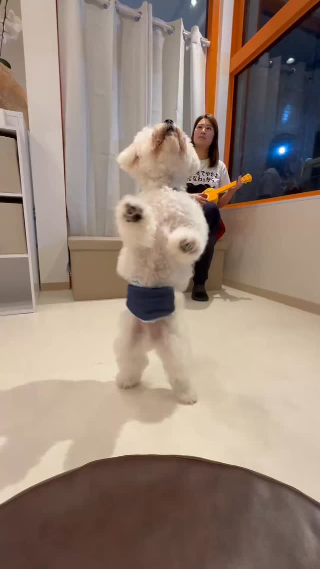 元動画を見てからずっとバニラと撮りたかった念願の動画です🙌