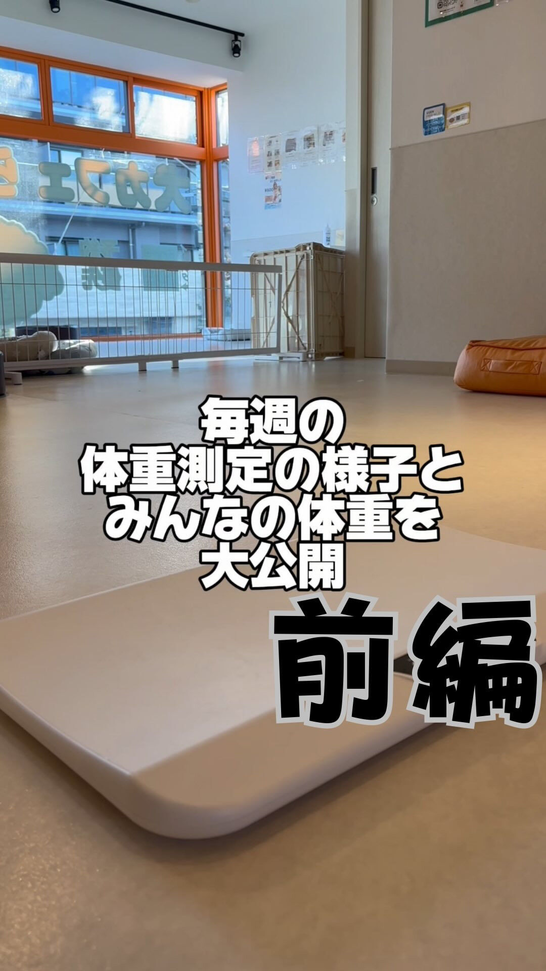 みんなの体重管理 前編🐶