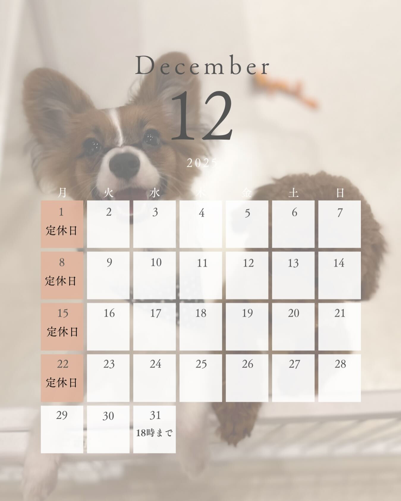 12月の定休日は1日、8日、15日、22日です🌟