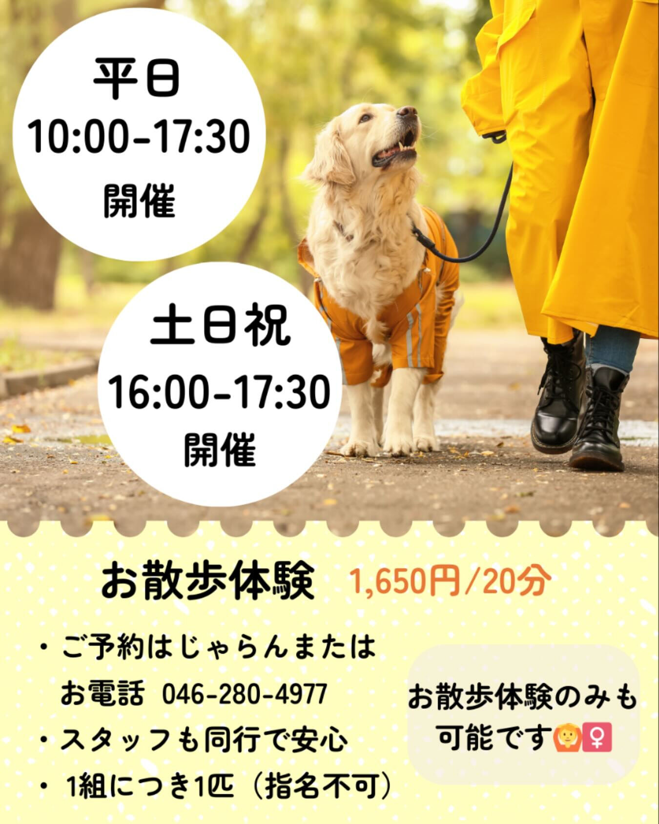 📢お散歩体験プランの受付時間が変わりました！
