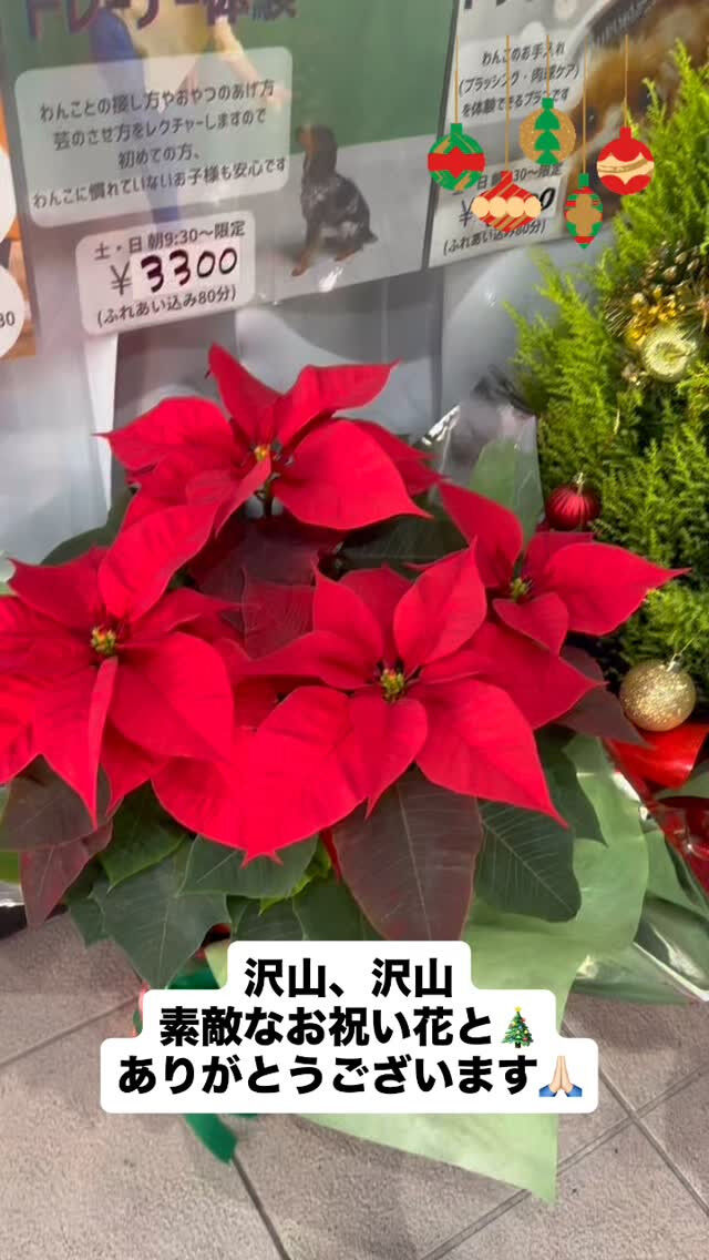 またまたお祝いいただきました👏