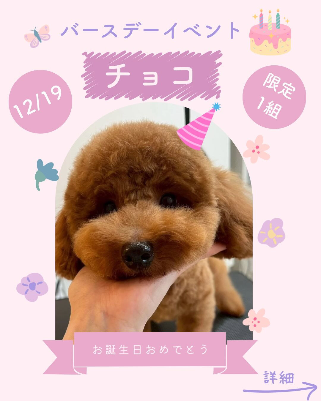 🎂チョコのお誕生日をもっと特別に…✨