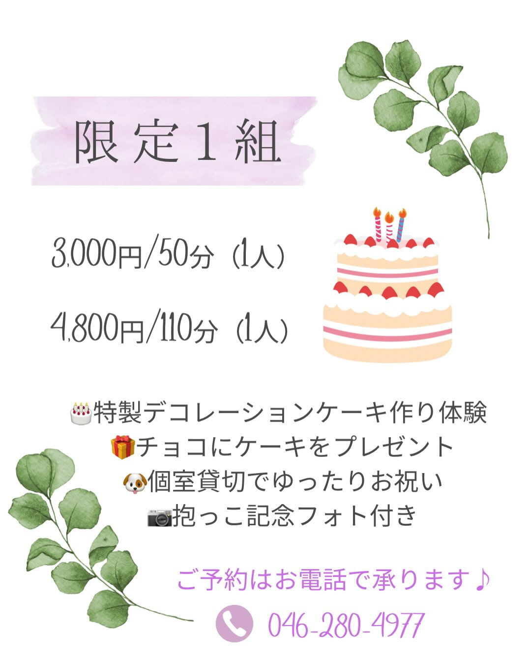 🎂チョコのお誕生日をもっと特別に…✨