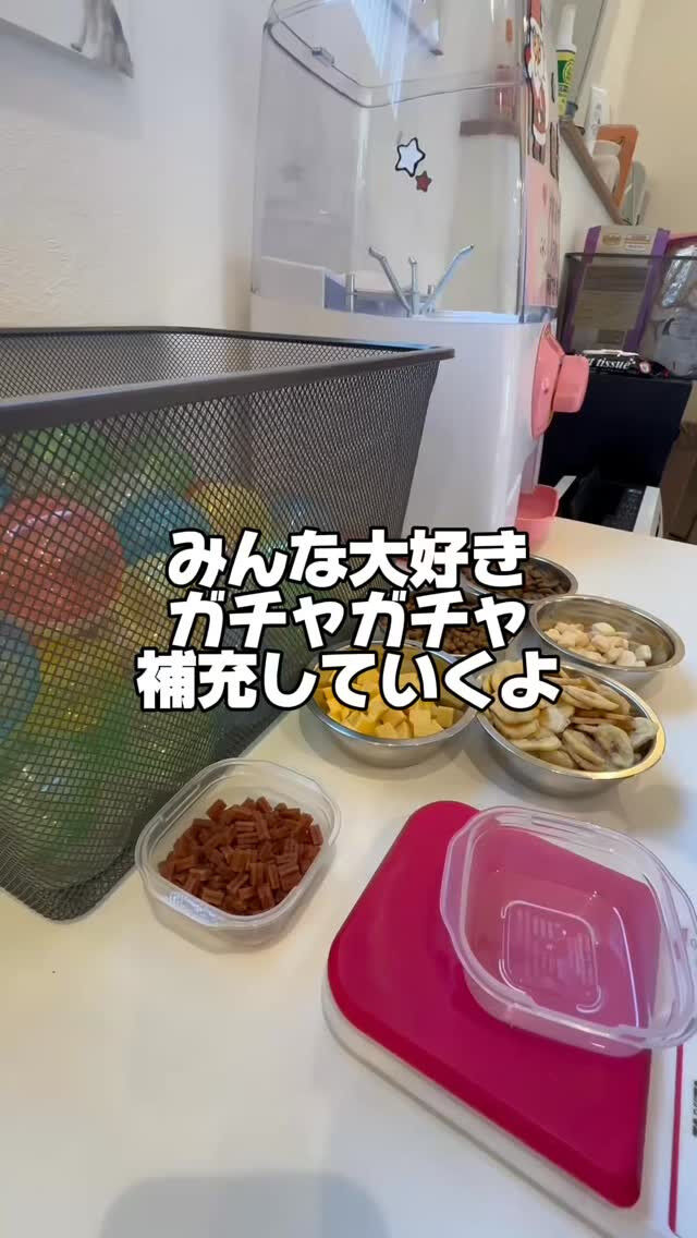 ガチャガチャ補充したよ