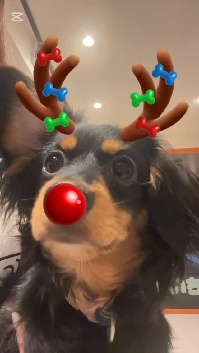 みんなでクリスマスっぽく挑戦してみました￼🎄