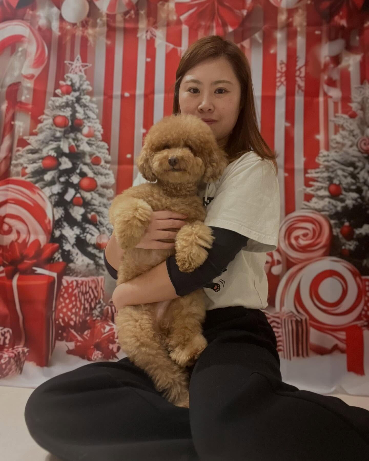 🎄25日までクリスマス限定🎅