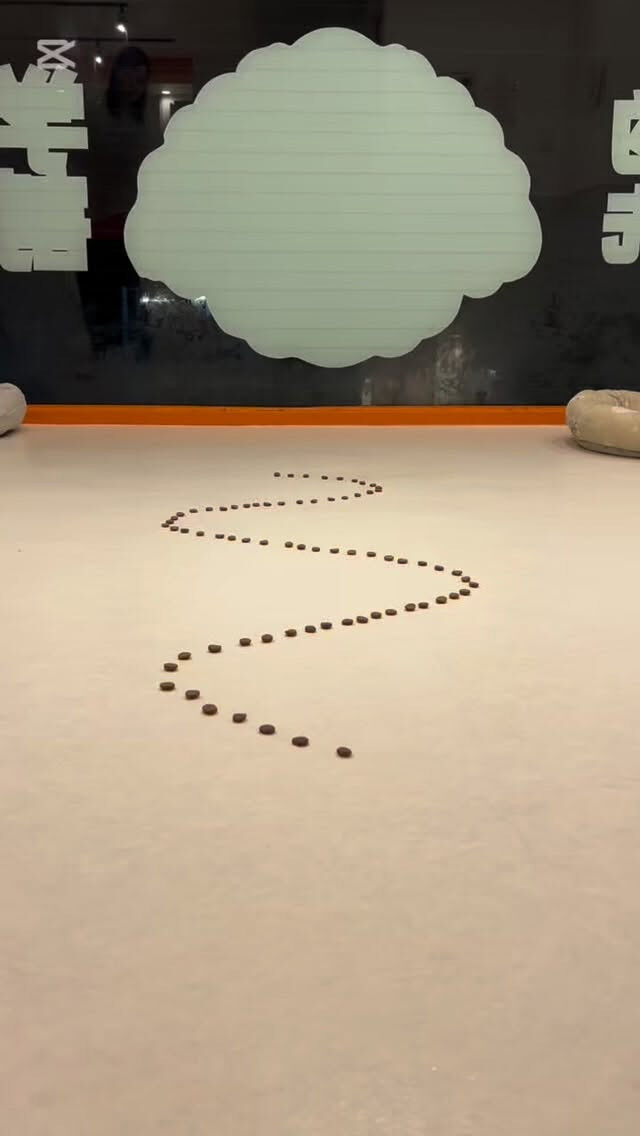 ライチでドッグフードレースやってみました🐶🏁