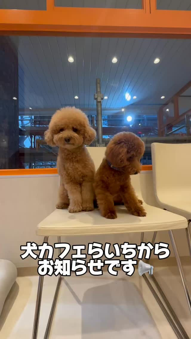 営業日のお知らせ