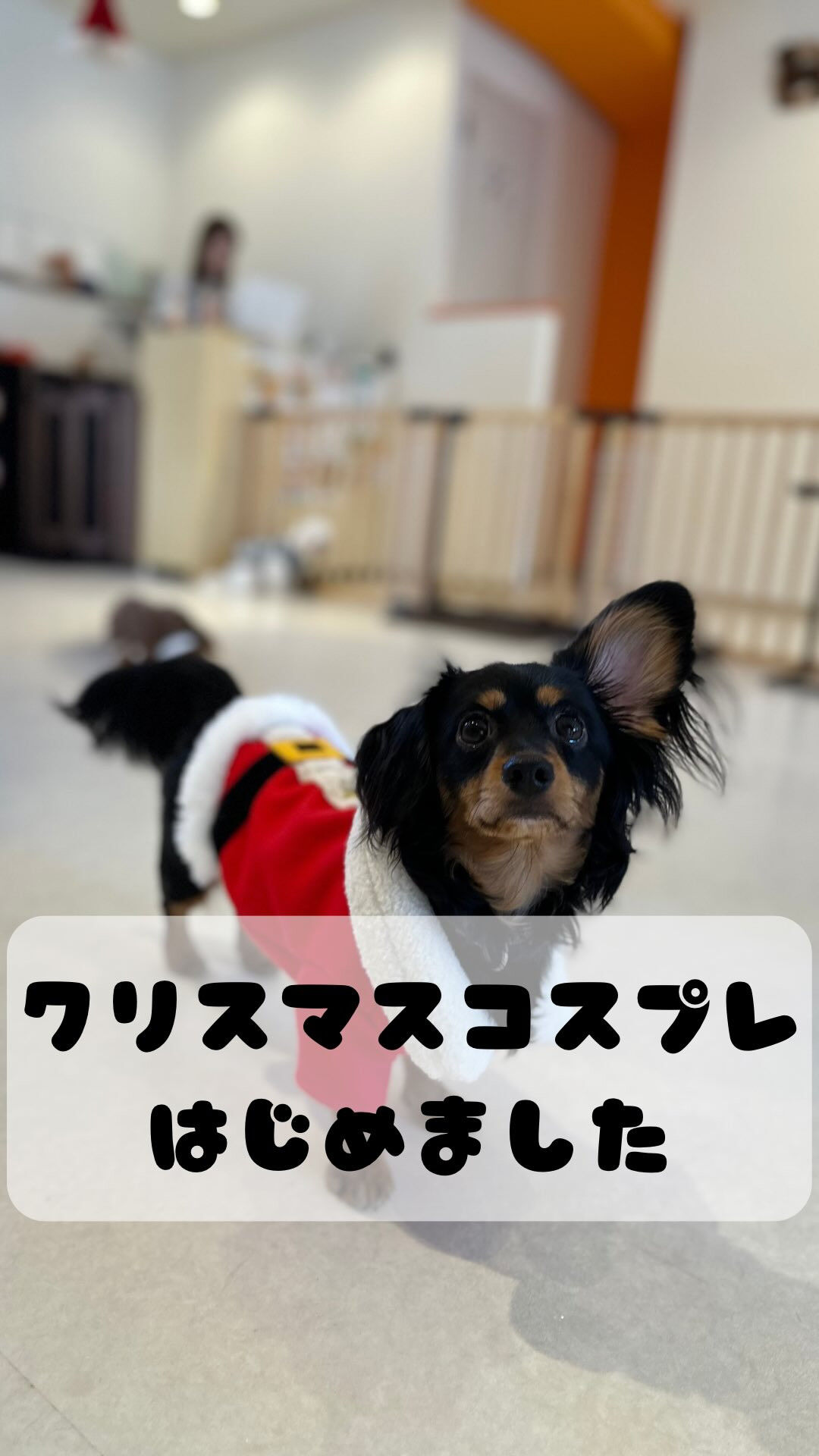 クリスマスコスプレはじめました