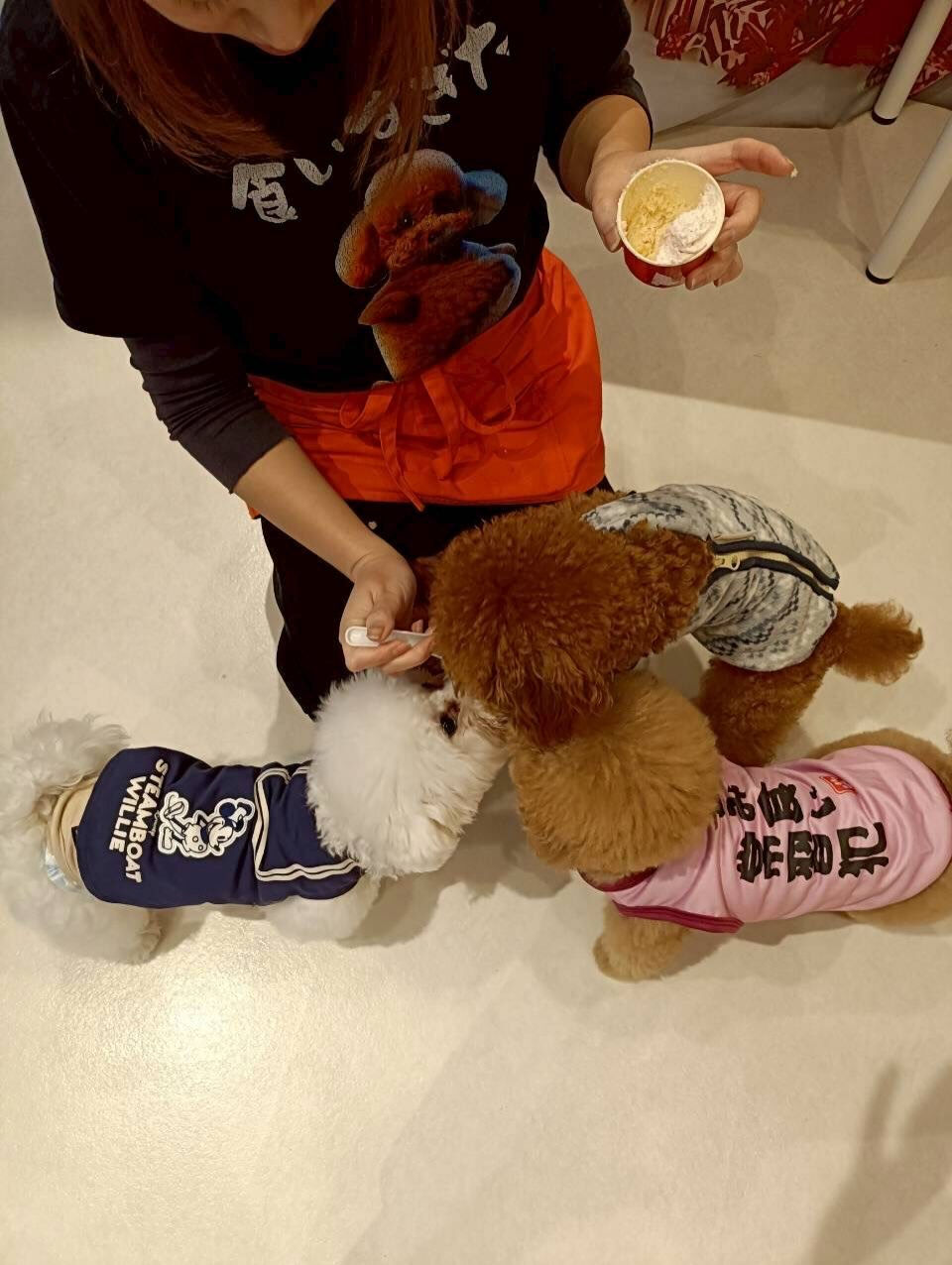 🎂チョコ、1歳のお誕生日おめでとう🥳