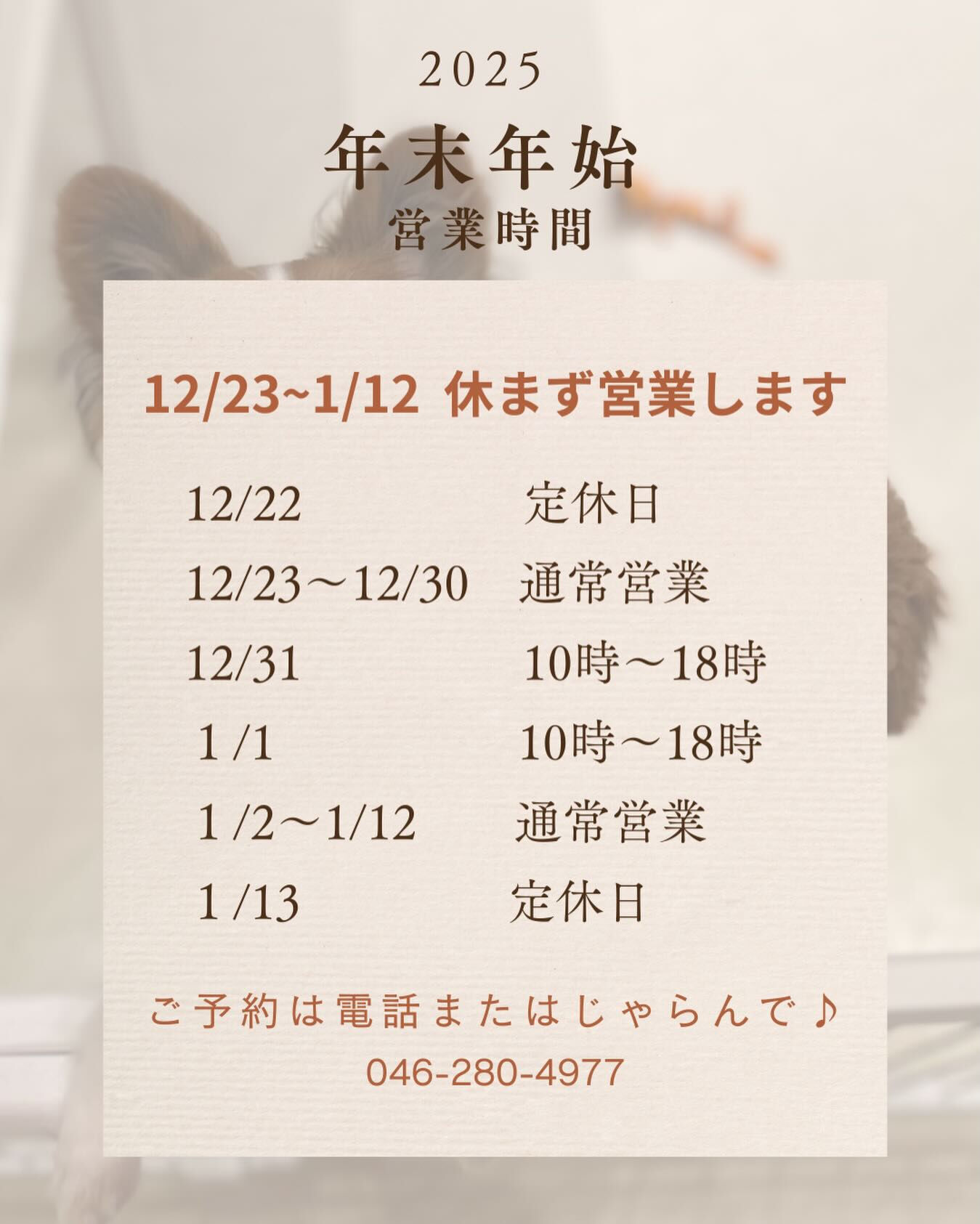 年末年始は休まずに営業いたします✨💪