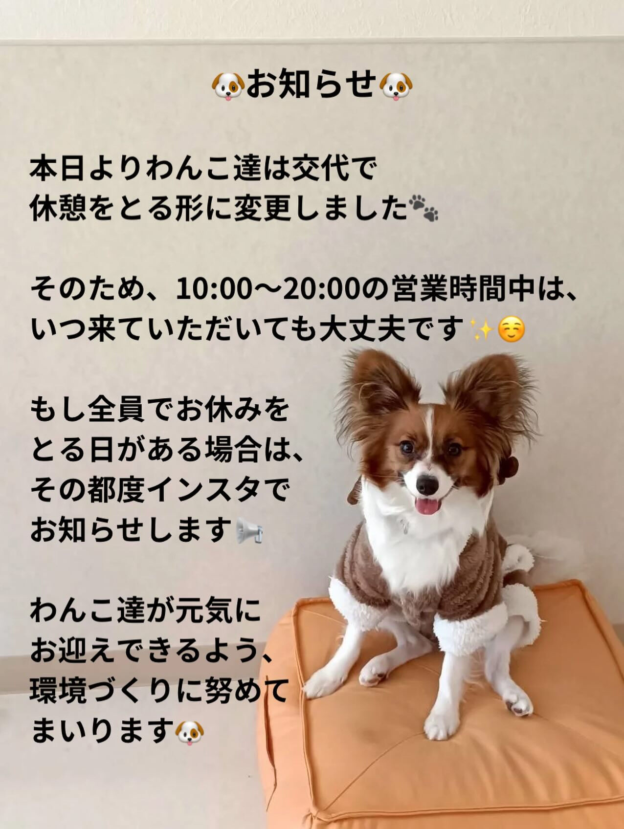 本日より10:00〜20:00の営業時間中は、いつでもご利用