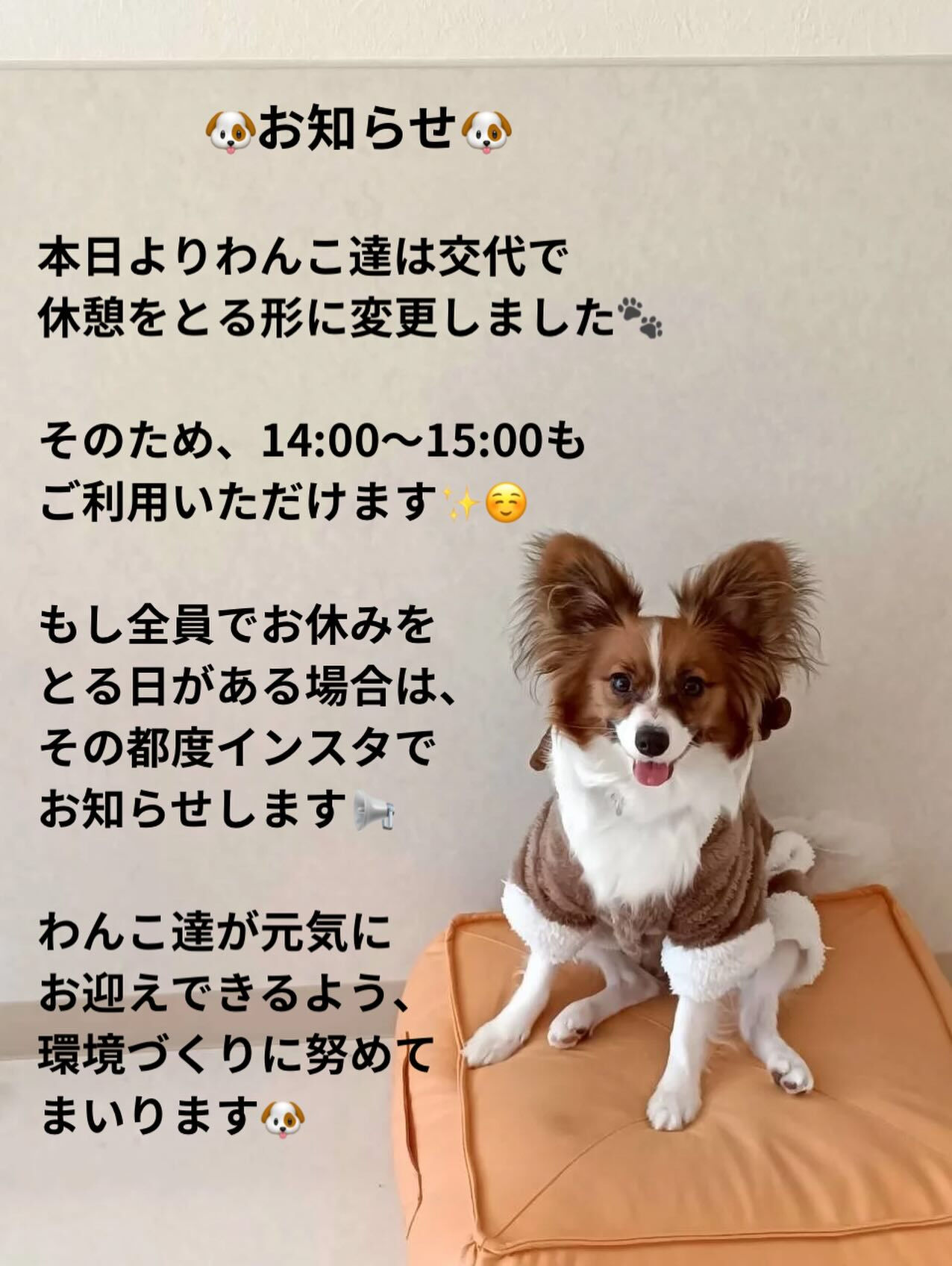 14時から15時の間もご利用いただけるようになりました✨🐶