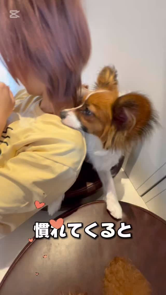 みんな人懐っこくて可愛い🧡