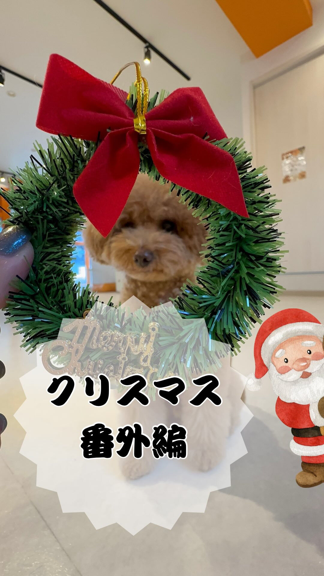 クリスマス番外編🎄