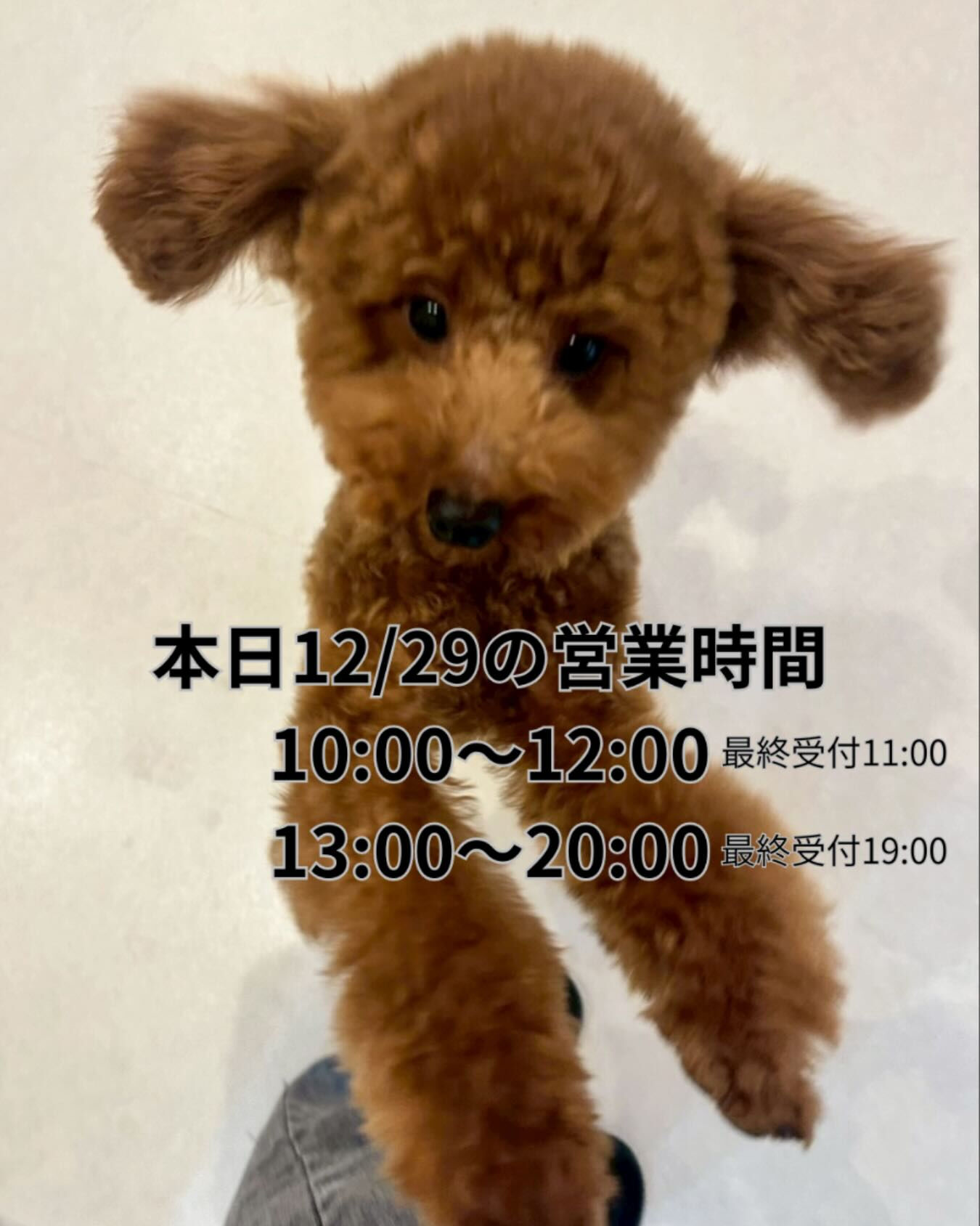 本日12/29の営業時間