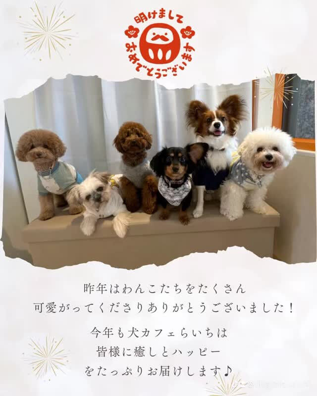 あけましておめでとうございます🎍