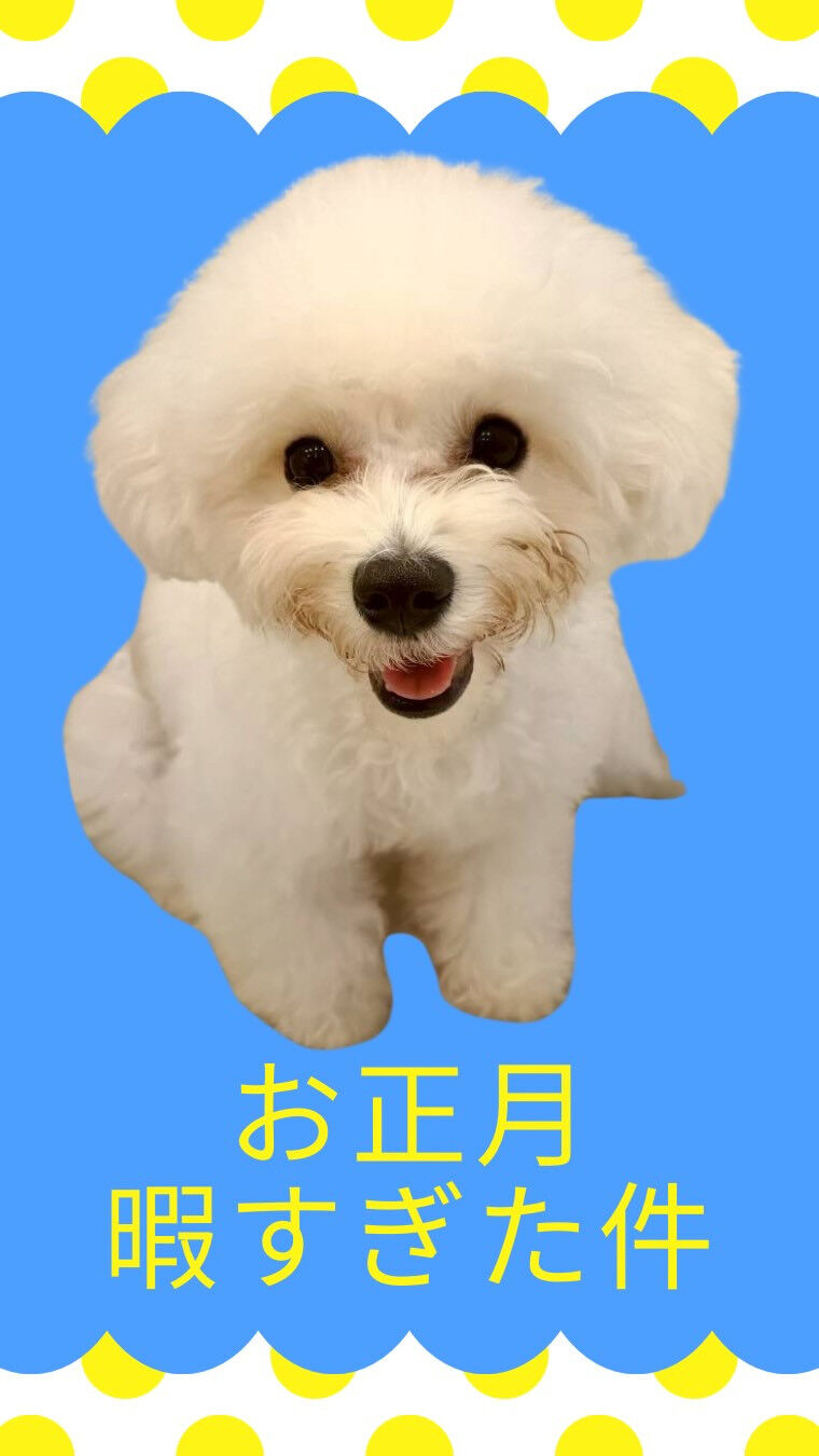 お正月暇すぎて…犬カフェらいちのわんこたち🐶と大好きな曲を歌