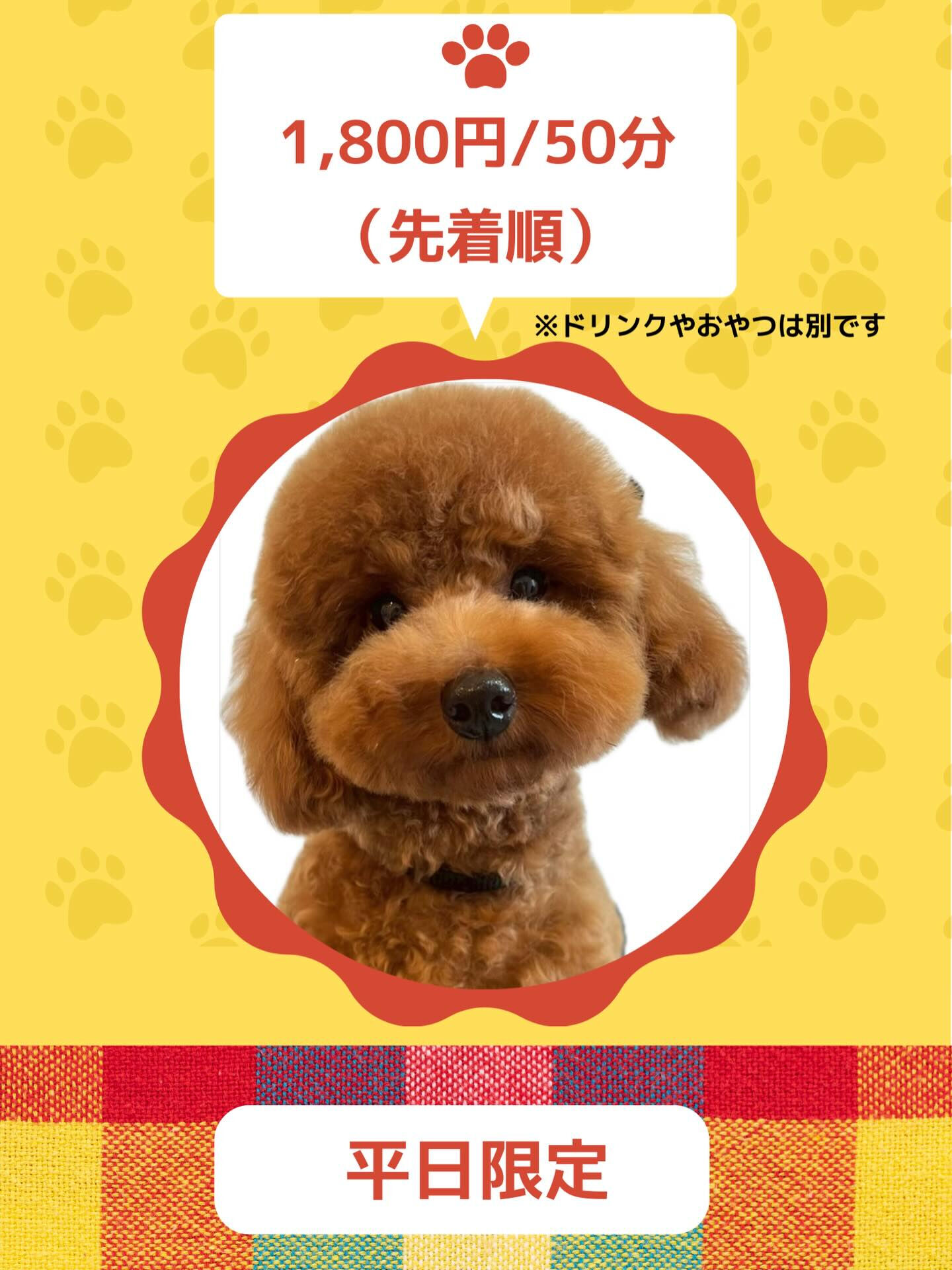 平日限定✨先着5名様の特別プラン🧡