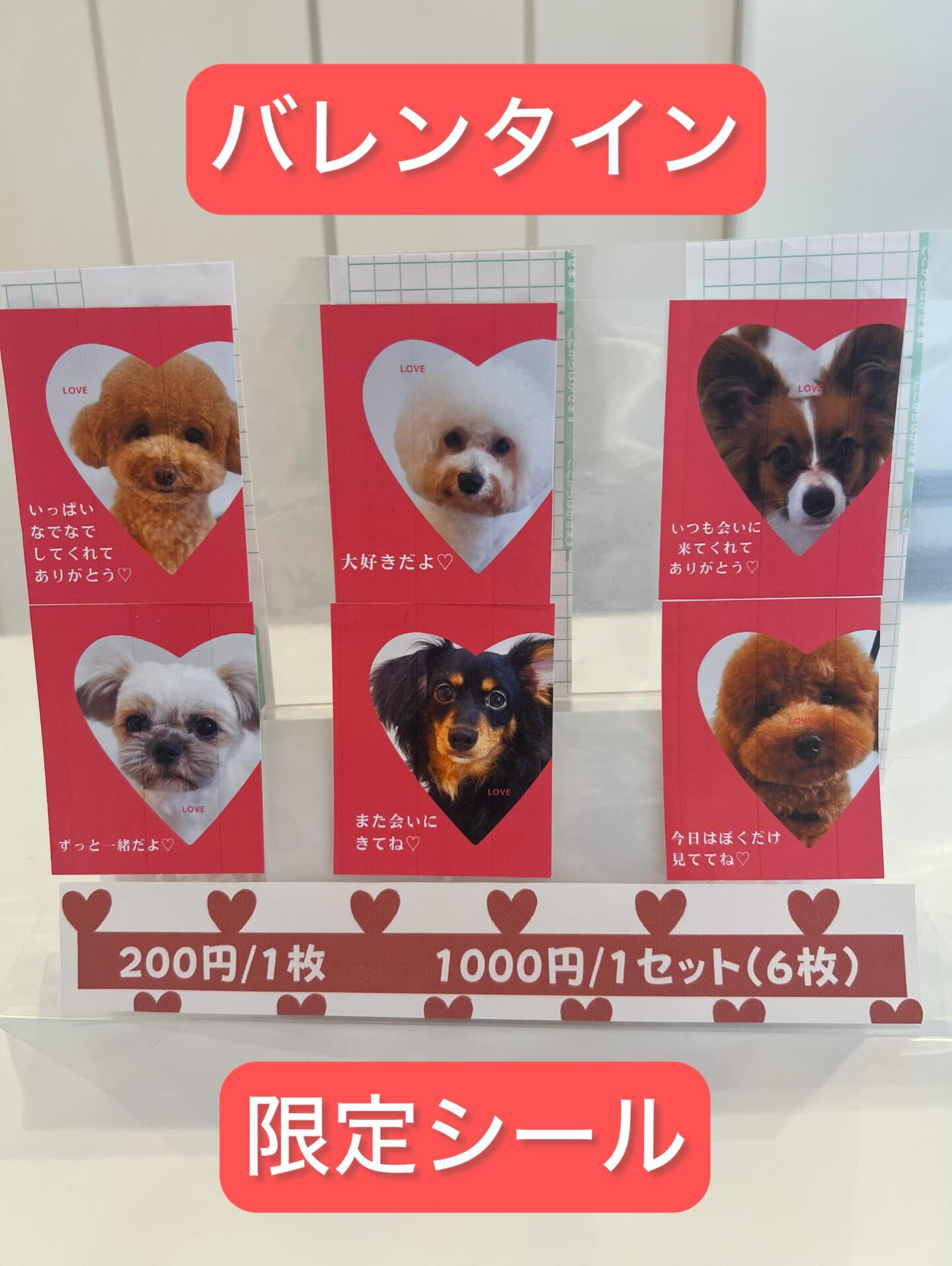 2月1日から14日までバレンタインシールを発売します🫶