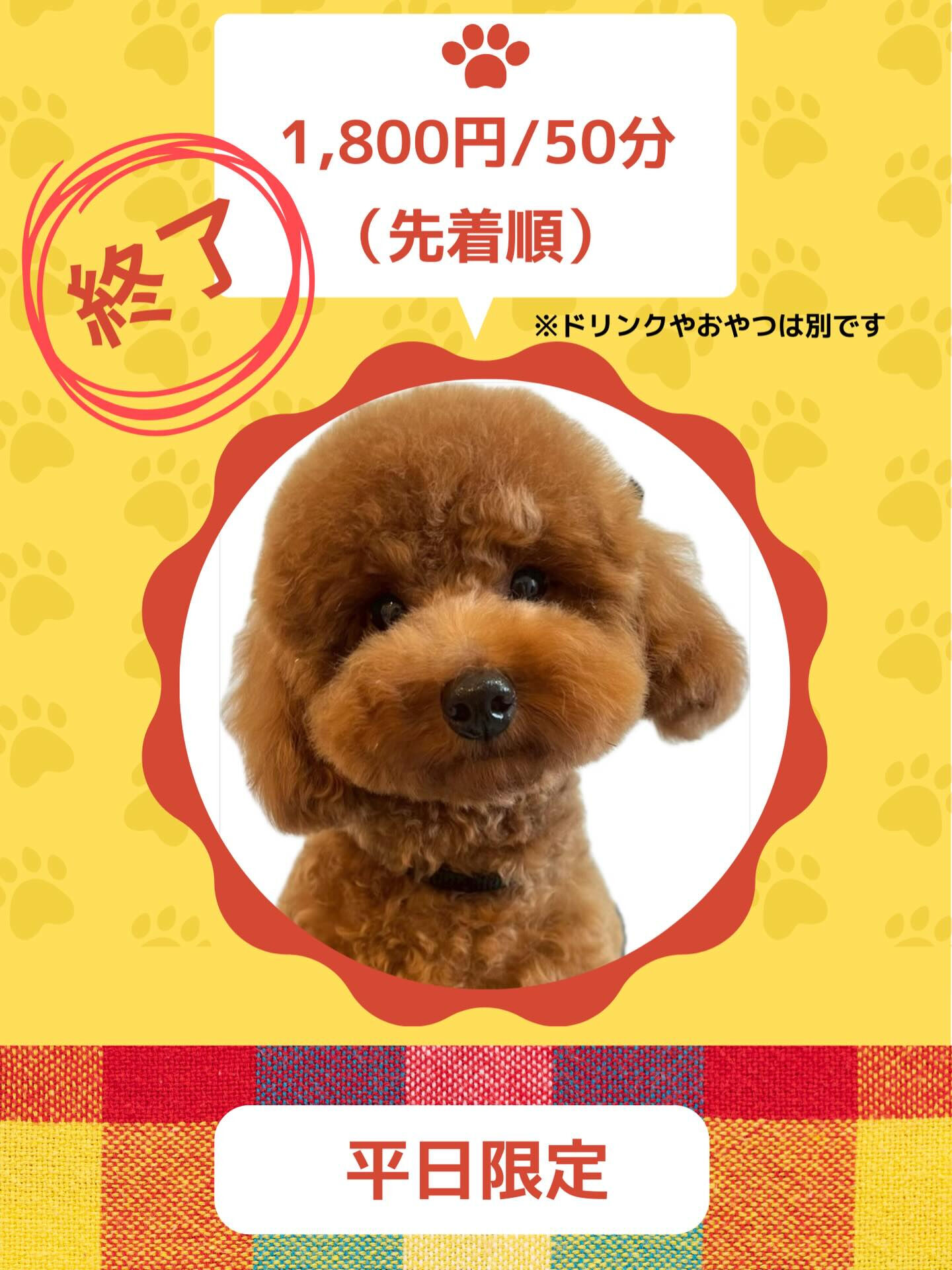 いつもご来店ありがとうございます🐾