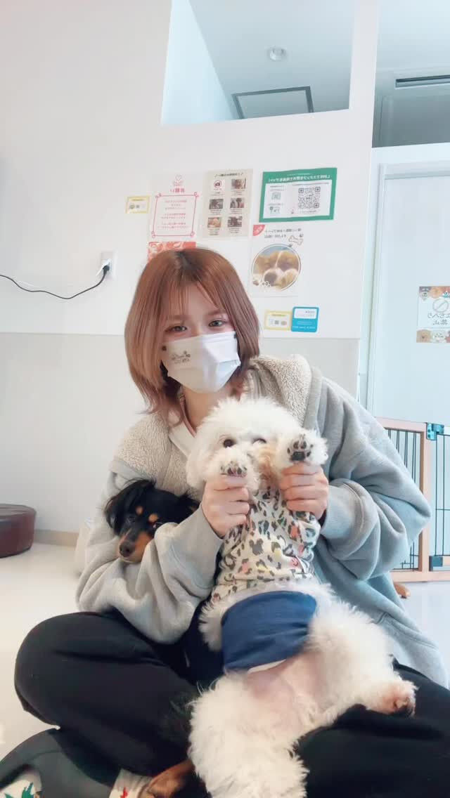 テケテケテケですか？