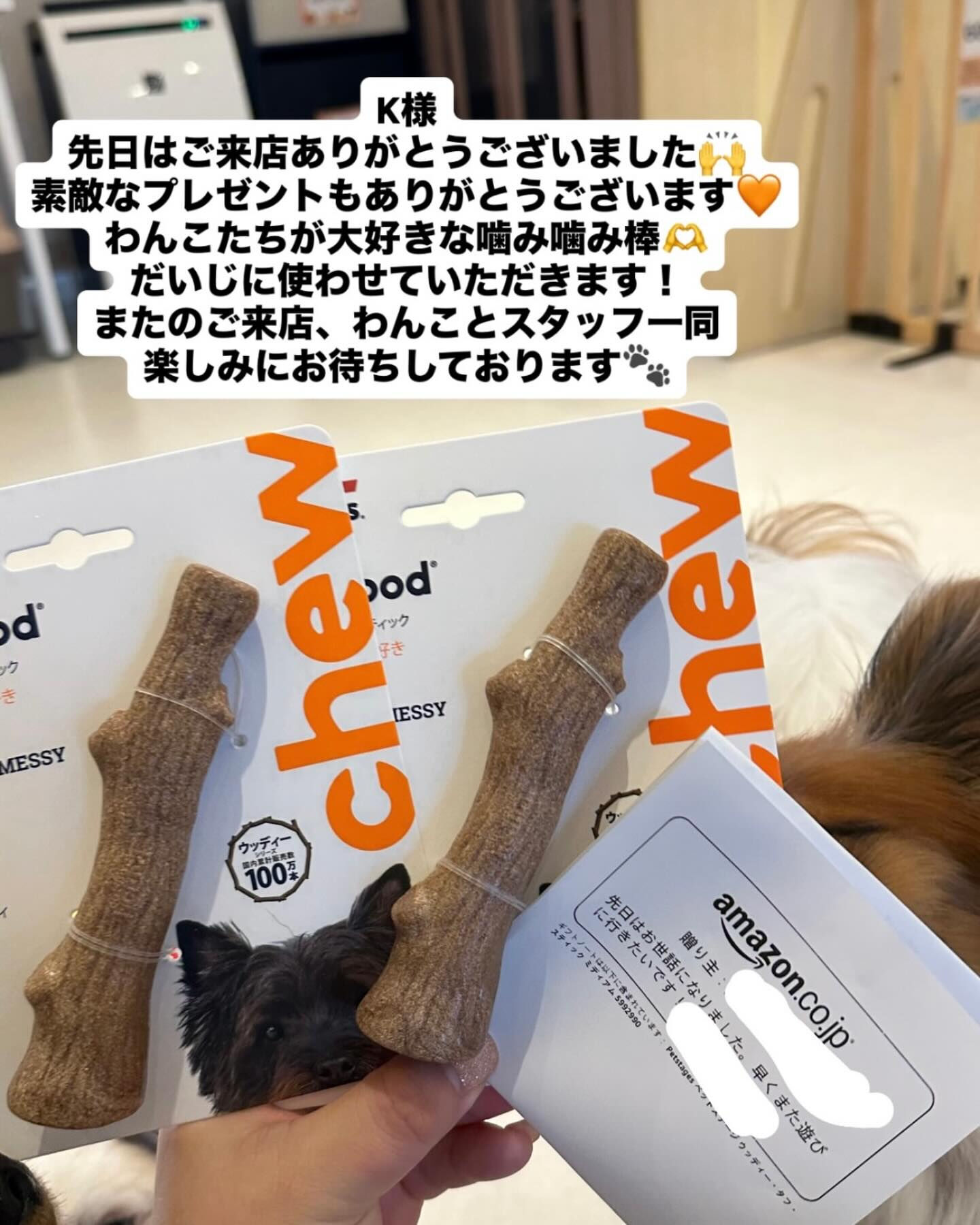 初めてトレーナー体験とふれあいのご利用をいただいたお客様から
