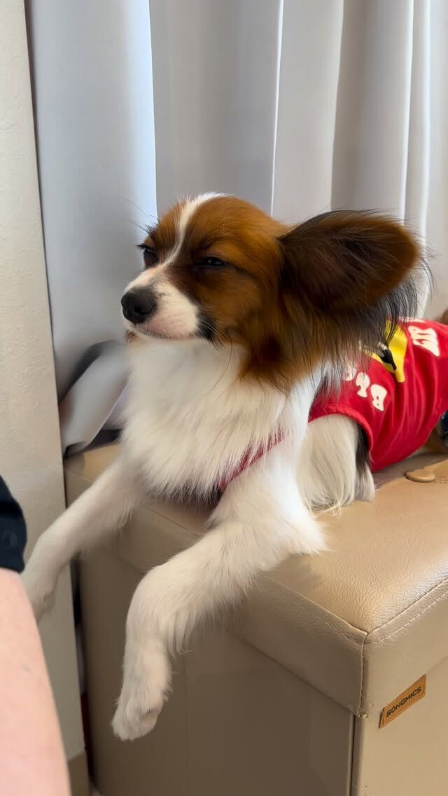 ねむねむコロッケ🥔