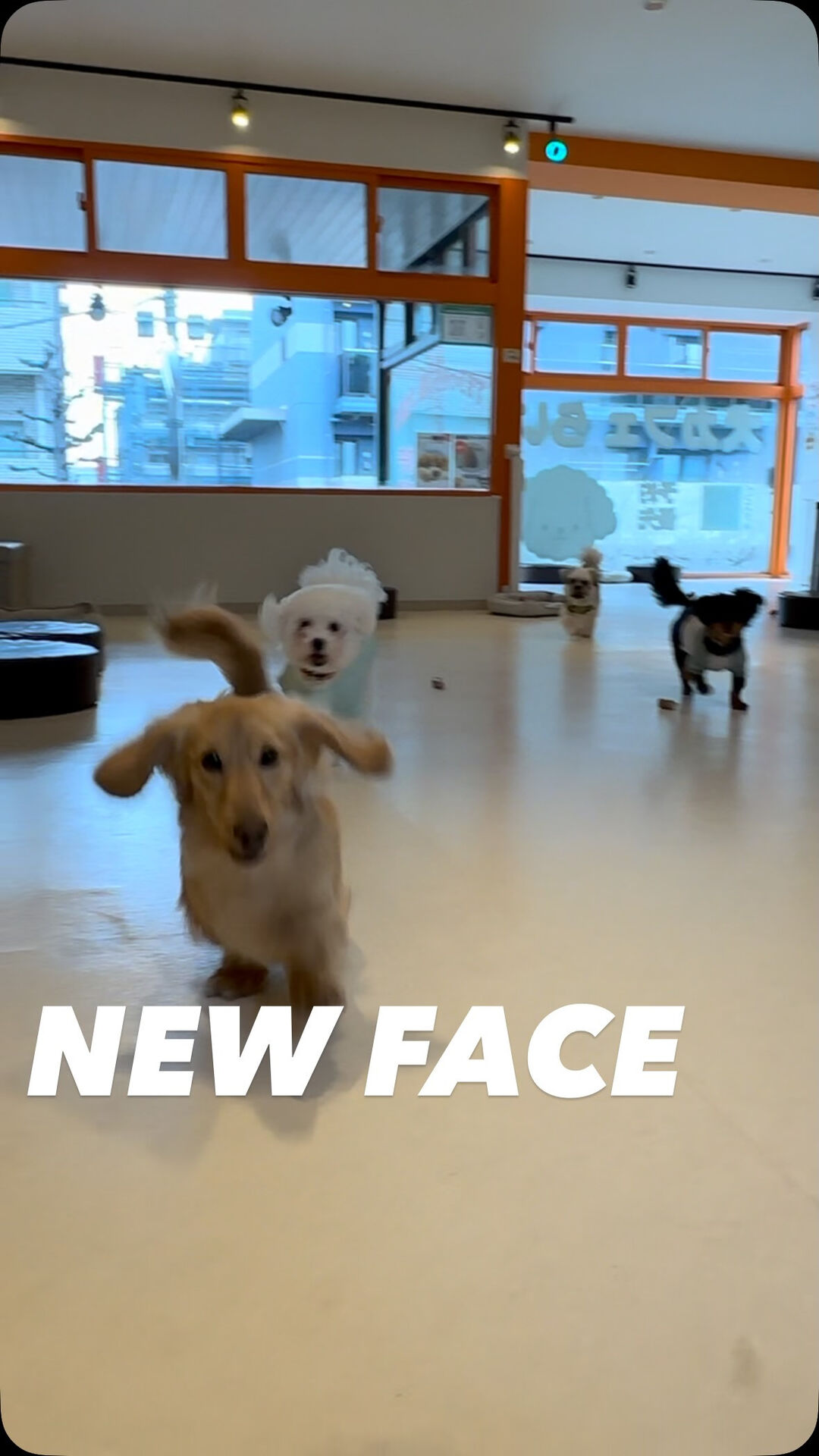 NEW FACEのご紹介🌟