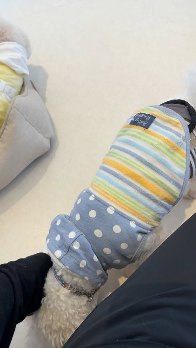 バニラの必殺技