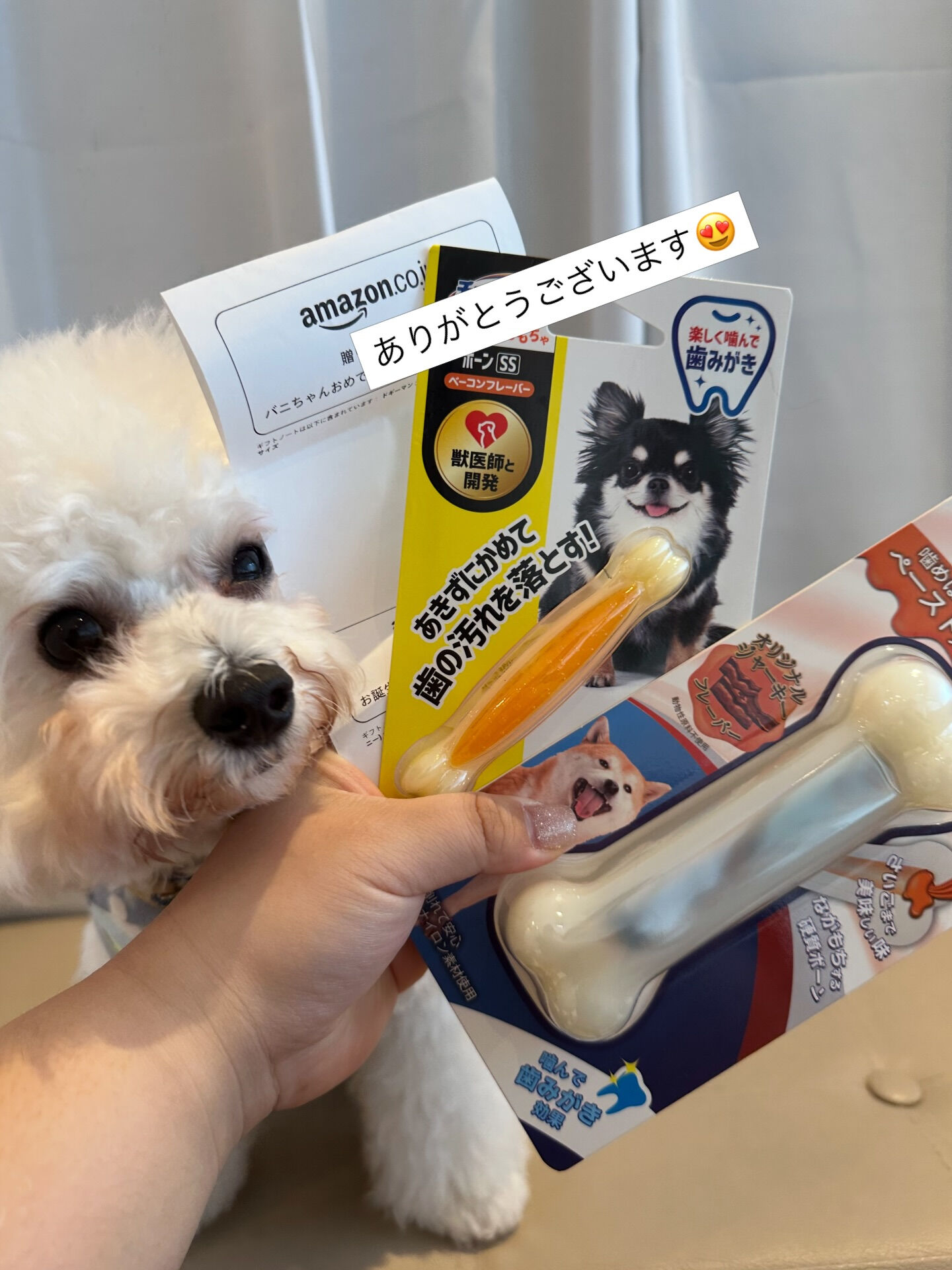 3月お誕生日組にたくさんのプレゼント🥺