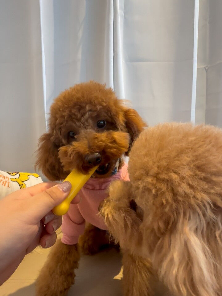 3月お誕生日組にたくさんのプレゼント🥺