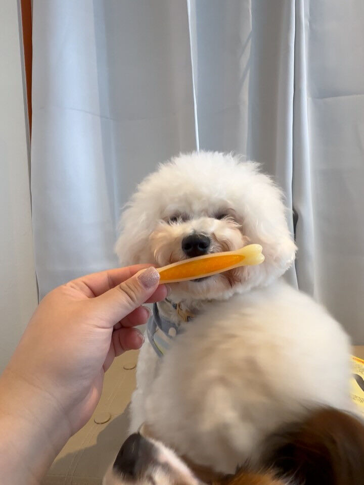 3月お誕生日組にたくさんのプレゼント🥺