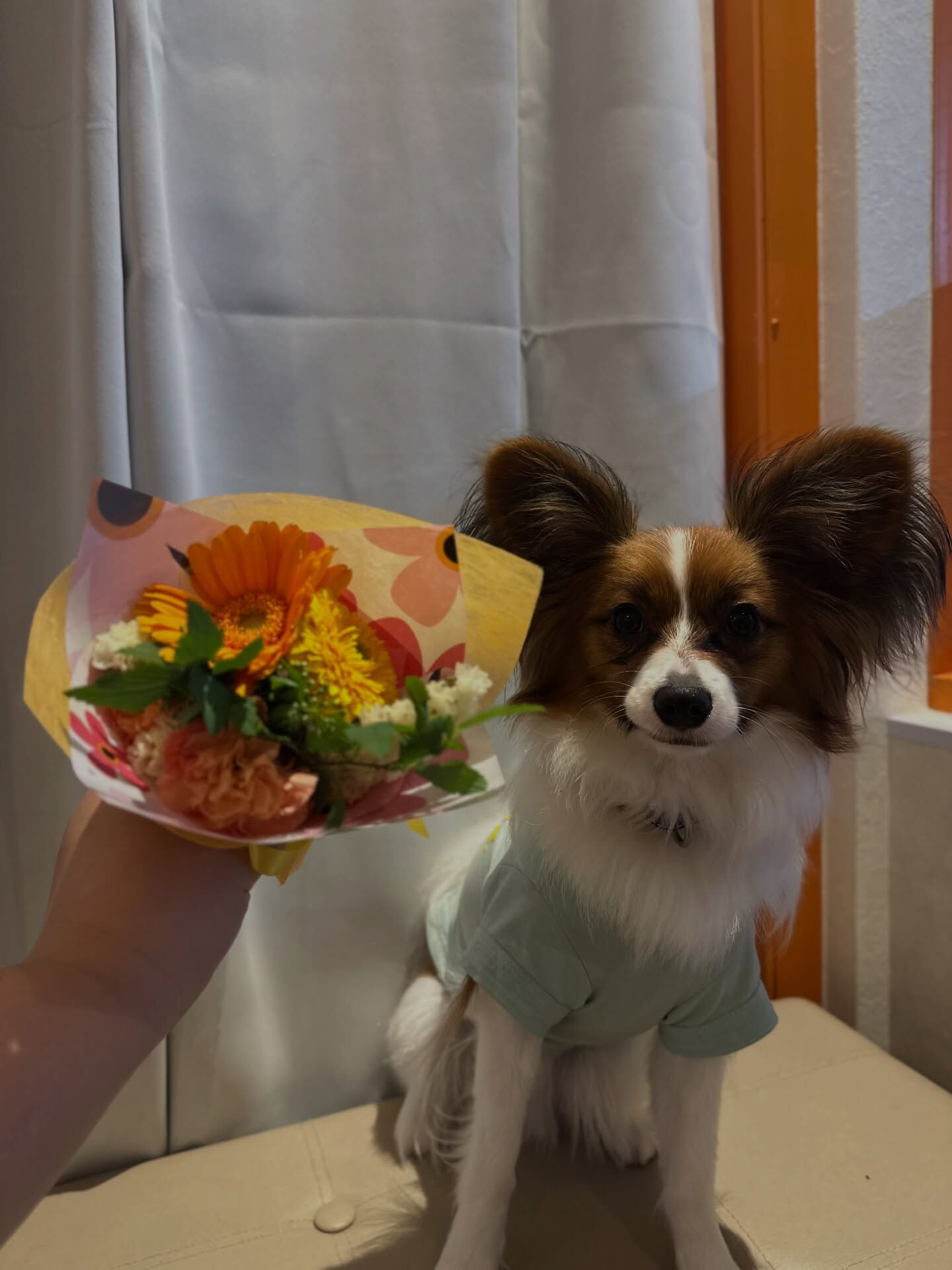 3月お誕生日組にたくさんのプレゼント🥺