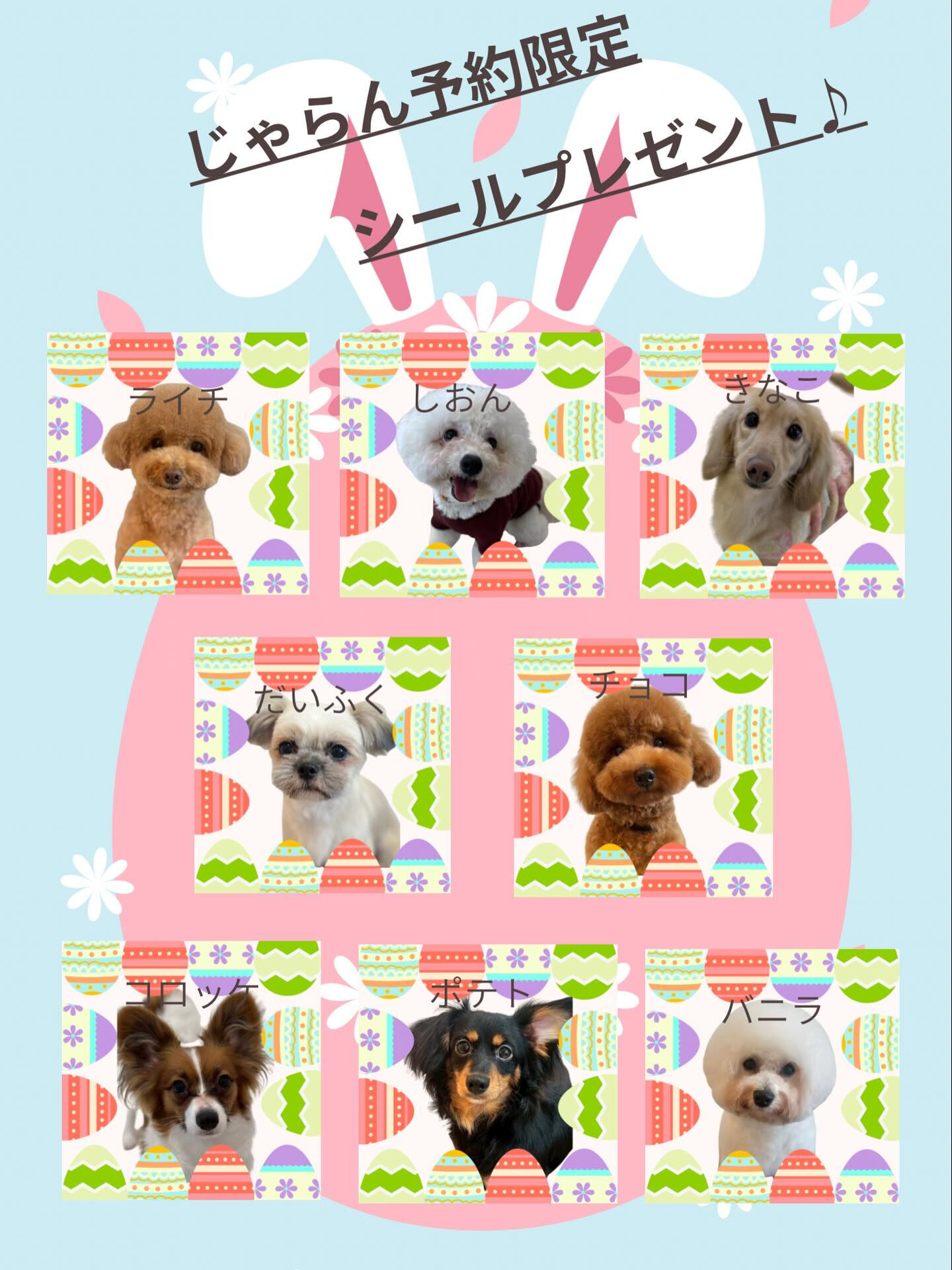 ただいま、じゃらんからご予約いただいたお客様へ、イースター限