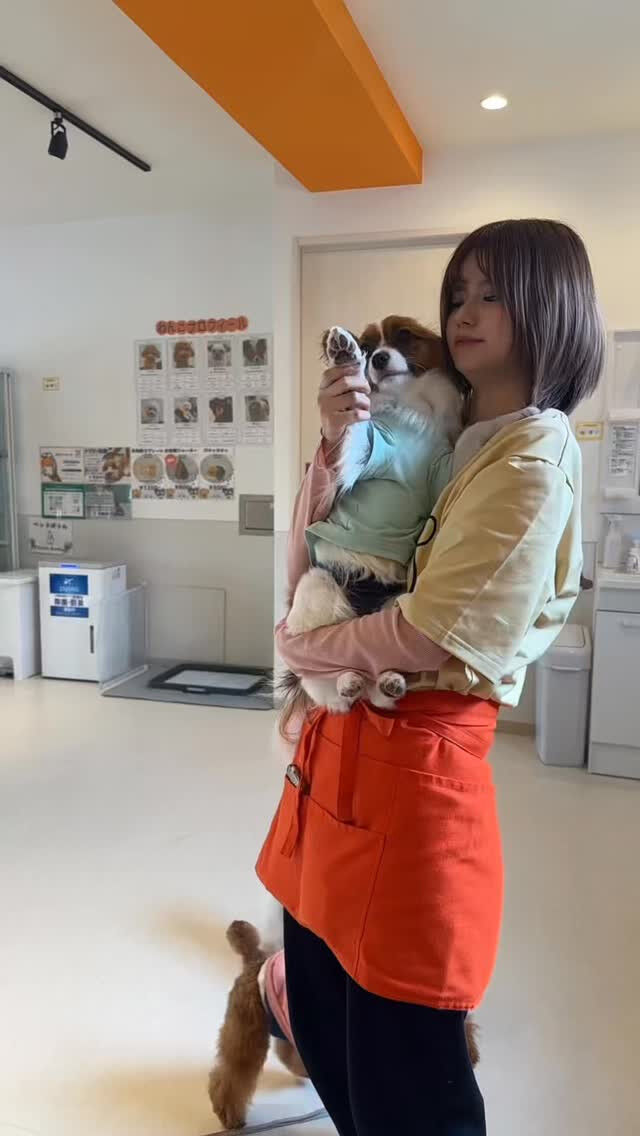 コロッケとトンツカタンタン🥳
