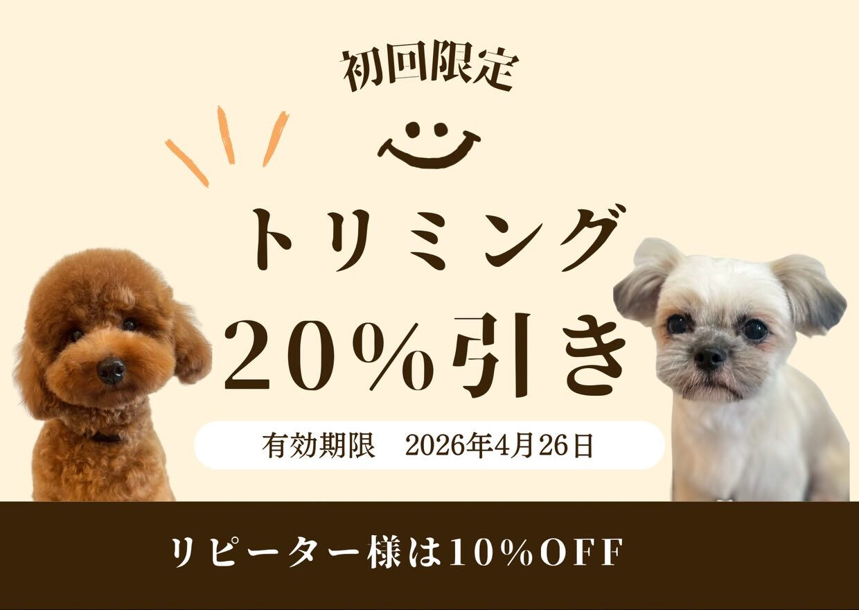 🐶🌸春の抜け毛ケアキャンペーン🌸🐶