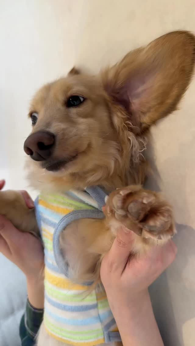 しあわせならほっぺたたこう🧡