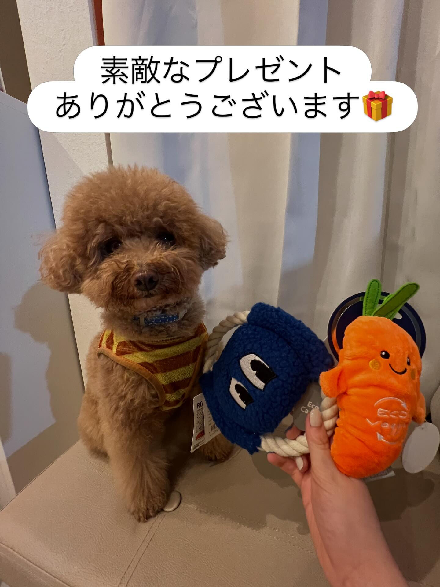 常連のお客様から差し入れをいただきました🎁