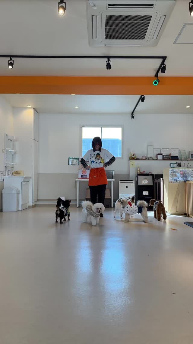みんなで大行進〜🐾