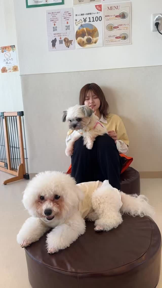 今更ながら好きすぎて滅！